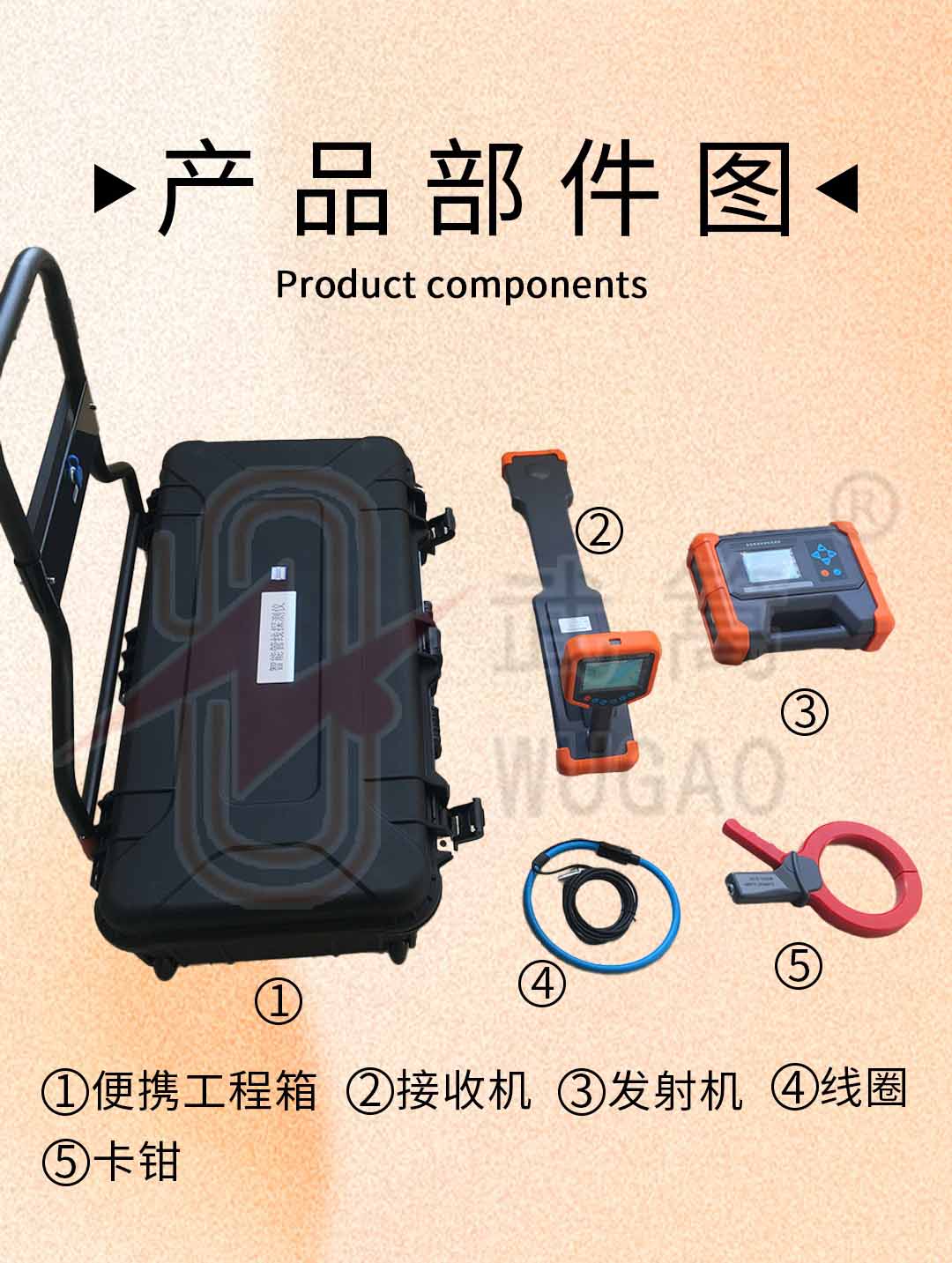 图层 5.jpg